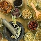 traditional forest remedies