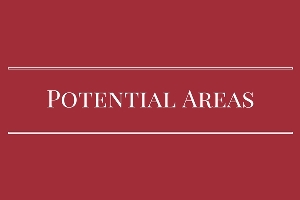 potential areas for business