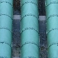 petroleum pipelines