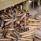 ammunition