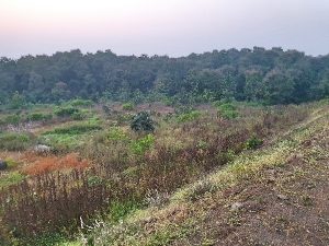 buy-land-near-lake-at-garamsur-6-acres-in-nagpur
