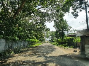 Approach road to Bid Borgaon Village