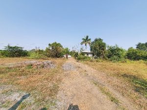 buy-industrial-shed-at-MIDC Butibori-in-Nagpur-2.6-acre