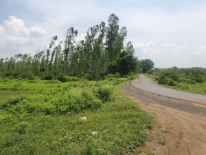 Land abutting tar road